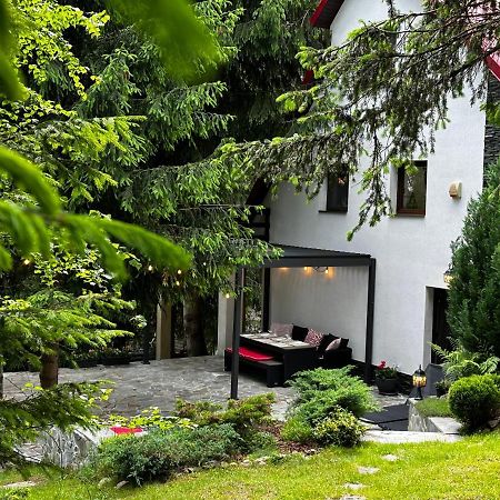 Mountain Chalet - Cabana La Muntele Baisorii Muntele Cacovei  Ngoại thất bức ảnh