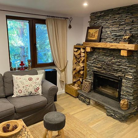 Mountain Chalet - Cabana La Muntele Baisorii Muntele Cacovei  Ngoại thất bức ảnh