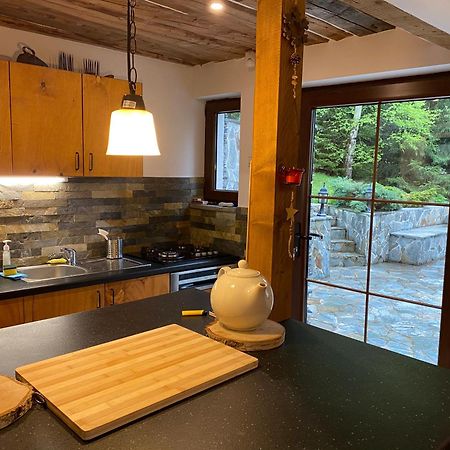Mountain Chalet - Cabana La Muntele Baisorii Muntele Cacovei  Ngoại thất bức ảnh