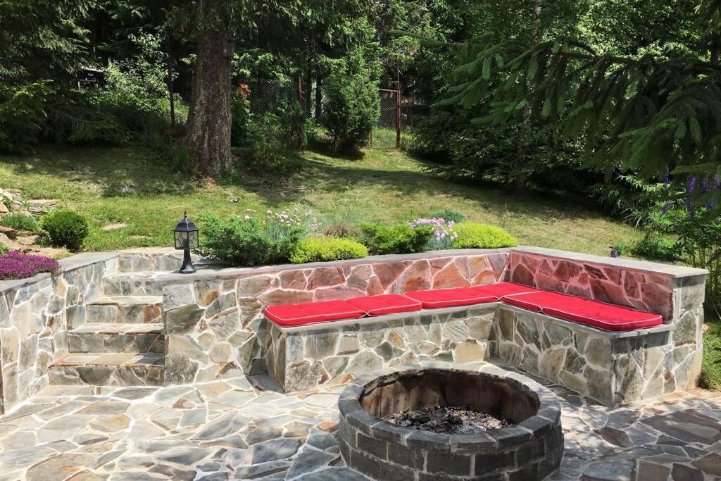 Mountain Chalet - Cabana La Muntele Baisorii Muntele Cacovei  Ngoại thất bức ảnh
