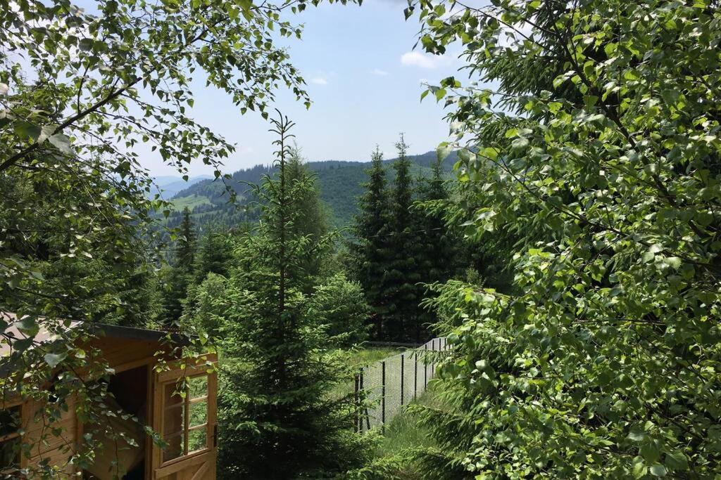 Mountain Chalet - Cabana La Muntele Baisorii Muntele Cacovei  Ngoại thất bức ảnh