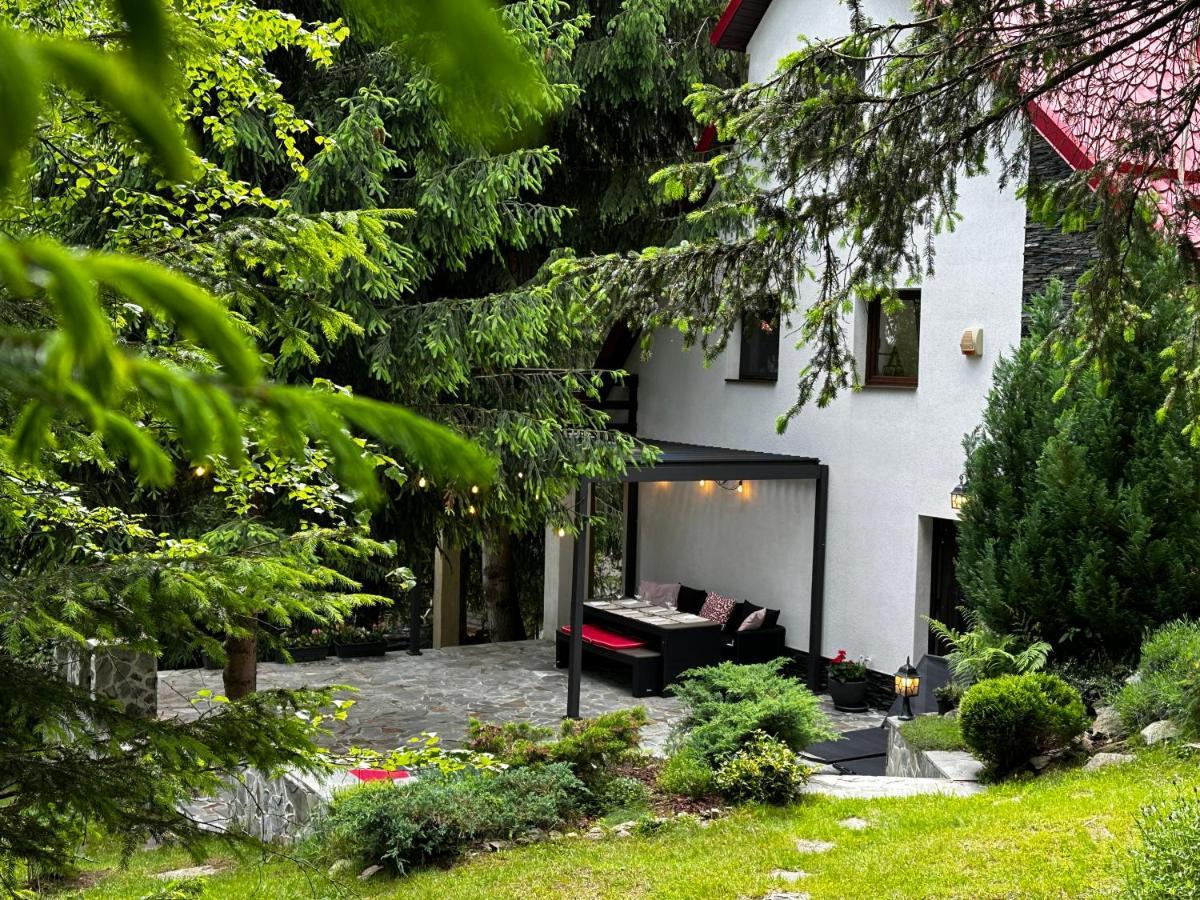 Mountain Chalet - Cabana La Muntele Baisorii Muntele Cacovei  Ngoại thất bức ảnh