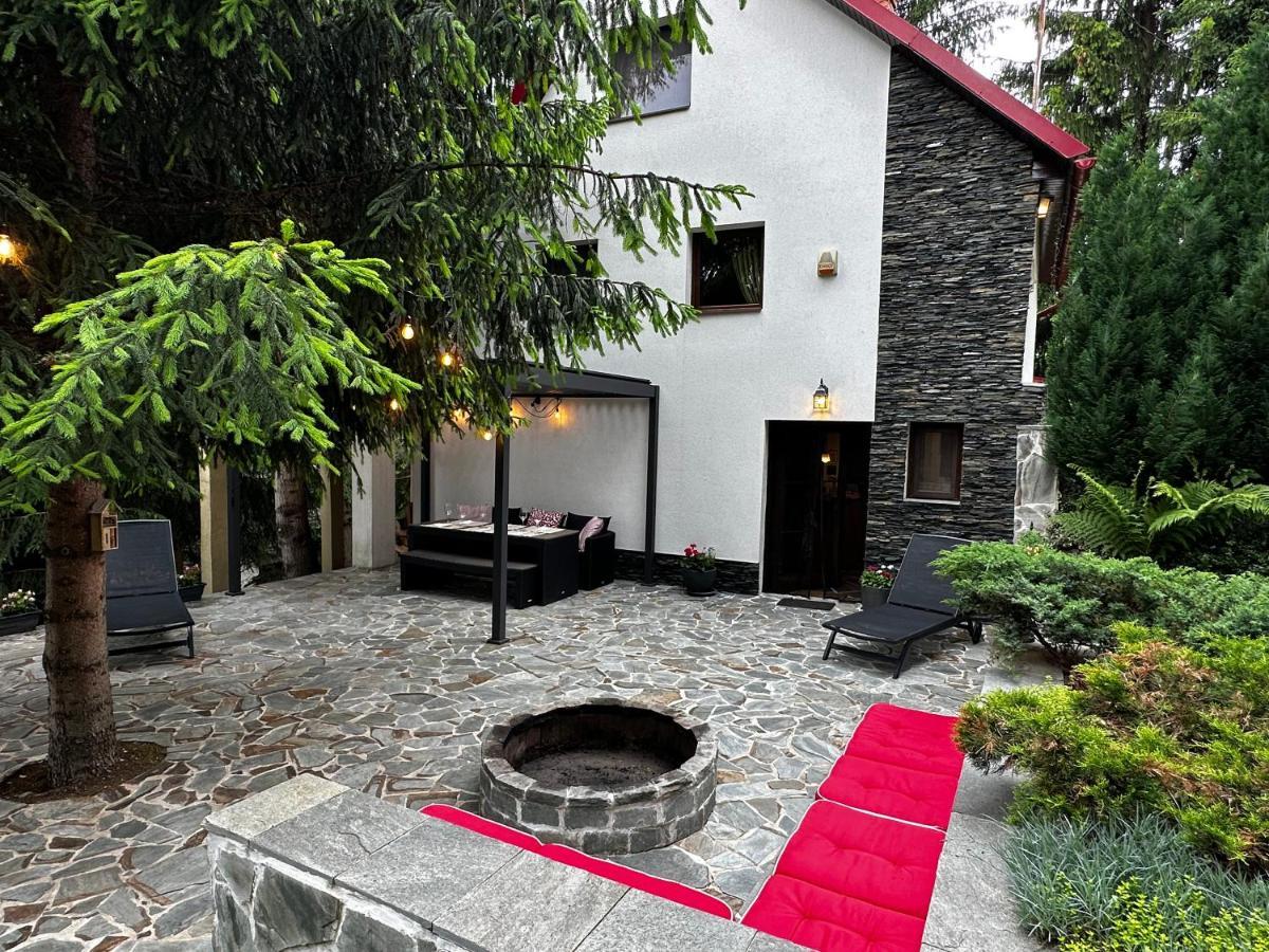 Mountain Chalet - Cabana La Muntele Baisorii Muntele Cacovei  Ngoại thất bức ảnh