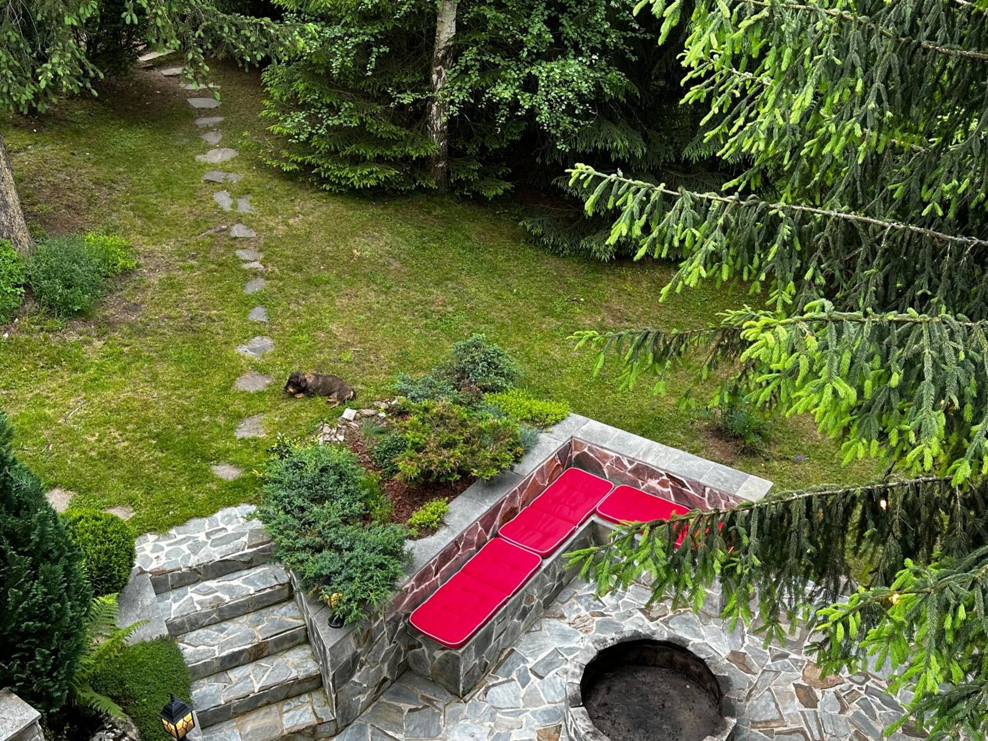 Mountain Chalet - Cabana La Muntele Baisorii Muntele Cacovei  Ngoại thất bức ảnh
